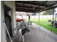 Wingham NSW 2429