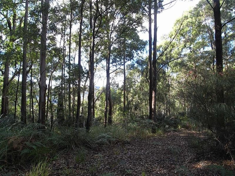 Mount George NSW 2424