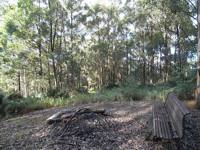 Mount George NSW 2424