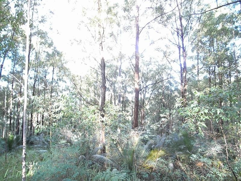 Mount George NSW 2424