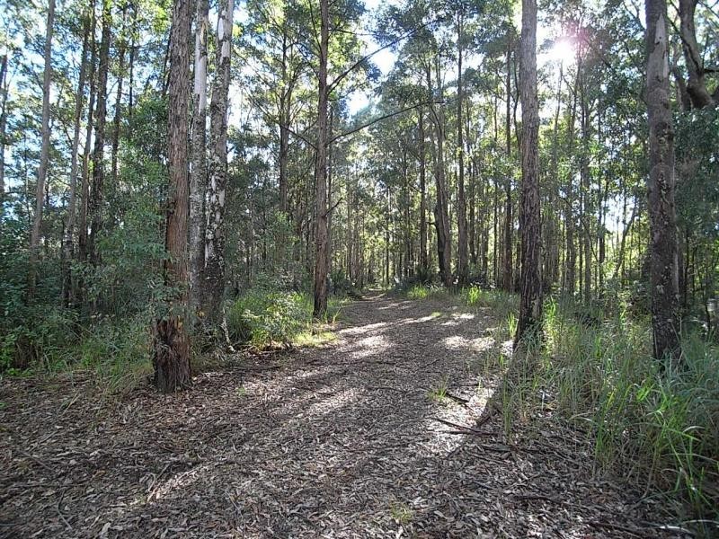 Mount George NSW 2424