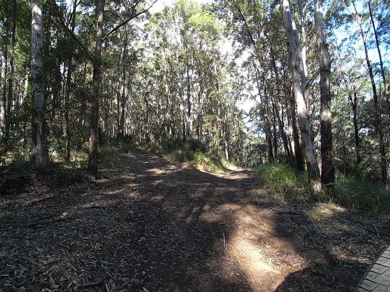 Mount George NSW 2424