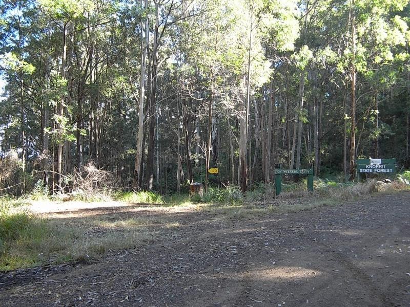 Mount George NSW 2424