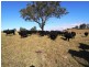 Wherrol Flat NSW 2429