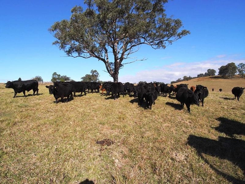 Wherrol Flat NSW 2429
