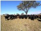 Wherrol Flat NSW 2429