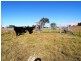 Wherrol Flat NSW 2429