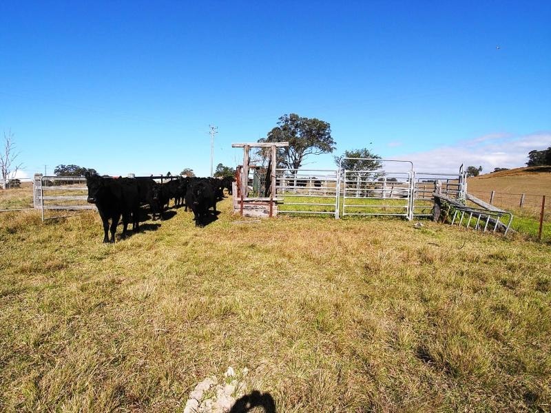 Wherrol Flat NSW 2429