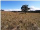 Wherrol Flat NSW 2429
