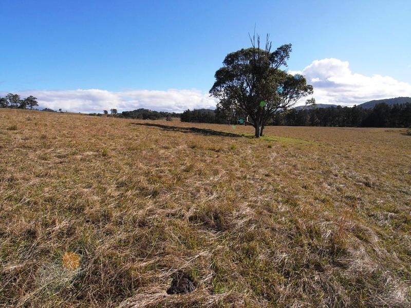 Wherrol Flat NSW 2429