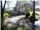 Wherrol Flat NSW 2429