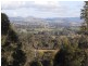 Wingham NSW 2429