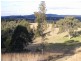 Wingham NSW 2429
