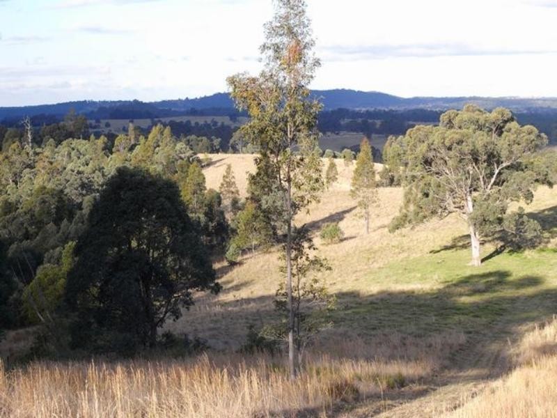 Wingham NSW 2429
