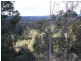 Wingham NSW 2429