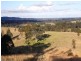 Wingham NSW 2429