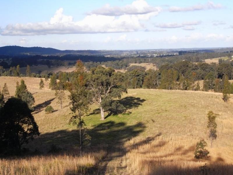 Wingham NSW 2429
