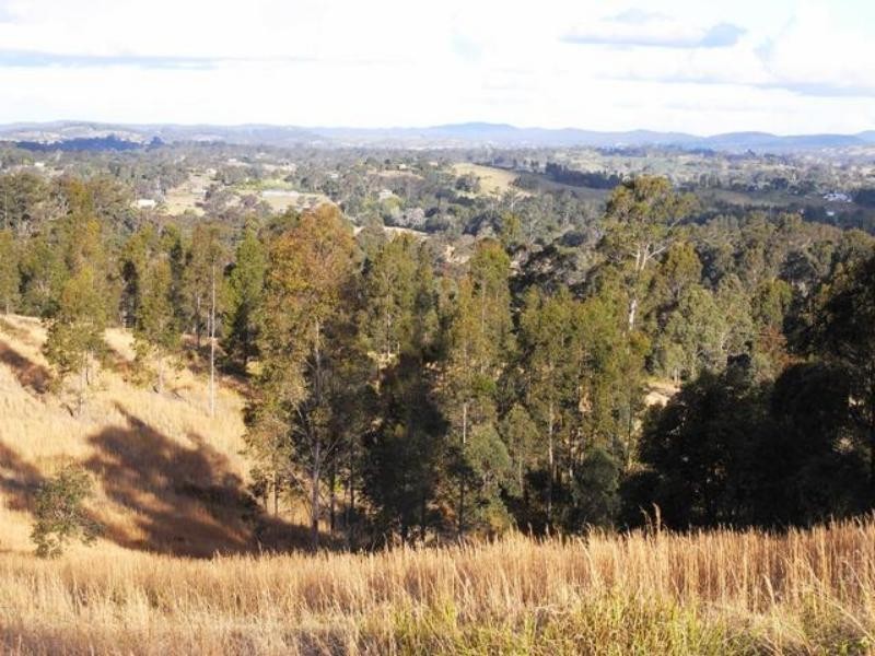 Wingham NSW 2429