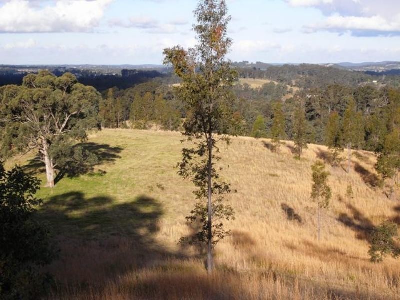 Wingham NSW 2429