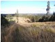Wingham NSW 2429