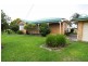 Cedar Party NSW 2429