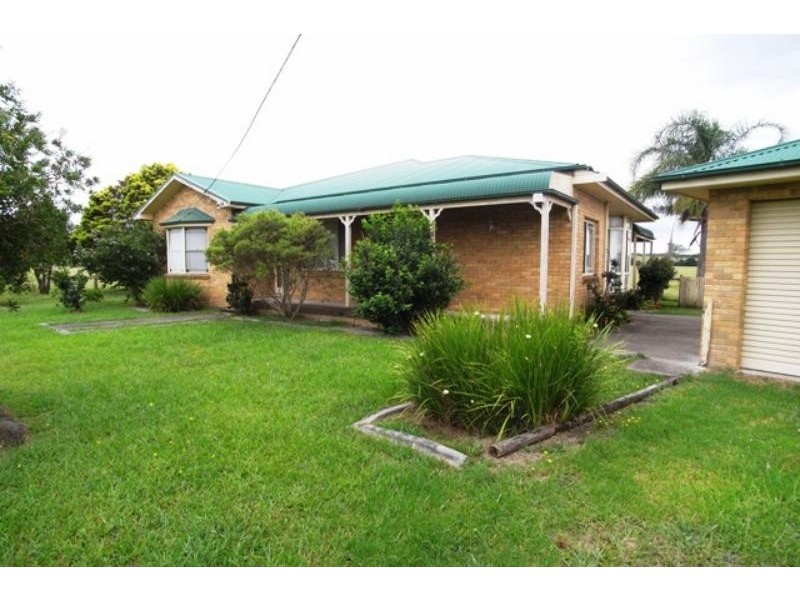 Cedar Party NSW 2429