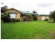 Cedar Party NSW 2429