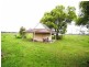 Cedar Party NSW 2429