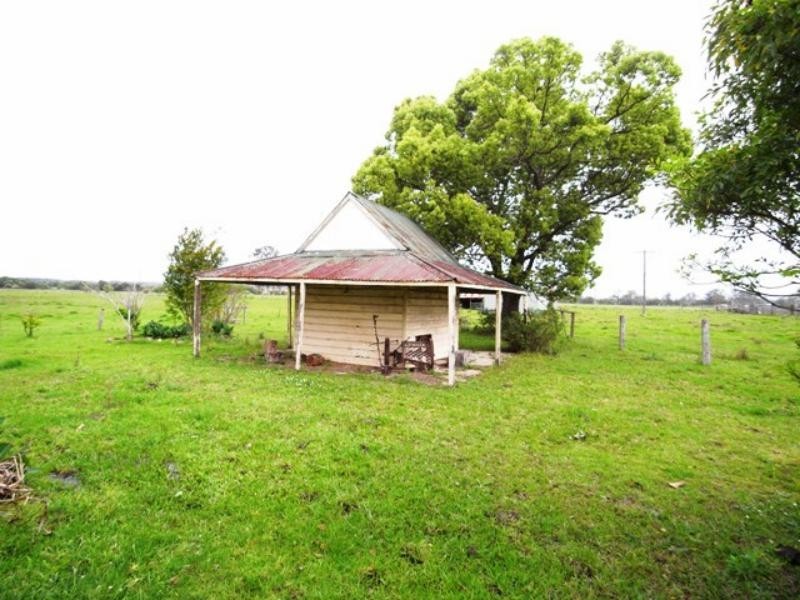 Cedar Party NSW 2429