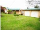 Cedar Party NSW 2429