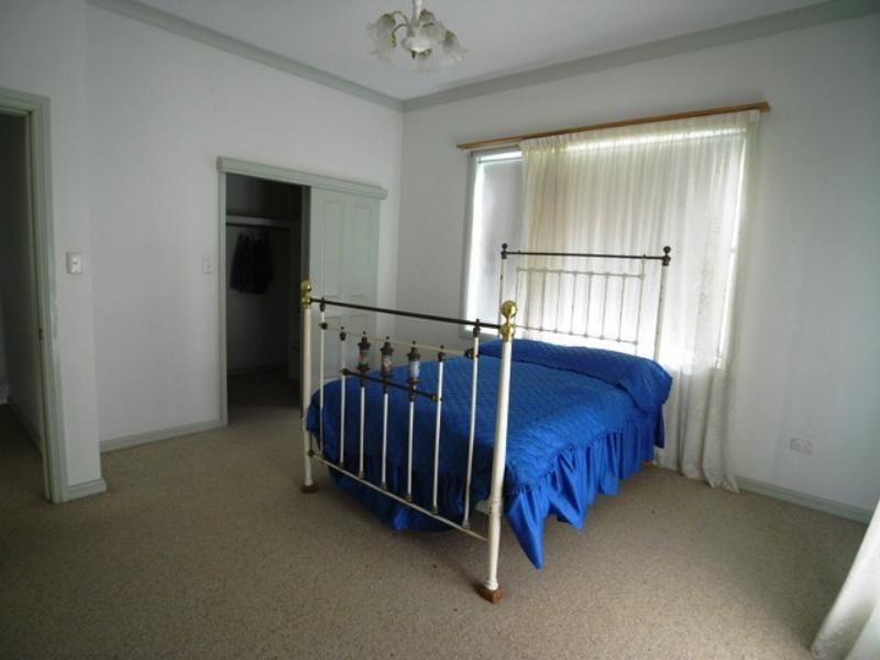 Cedar Party NSW 2429