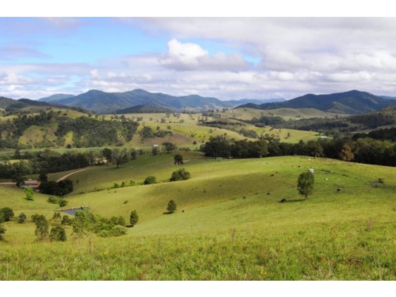 Mount George NSW 2424