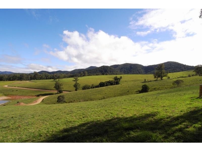 Mount George NSW 2424