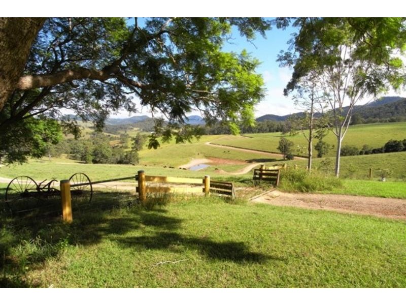 Mount George NSW 2424