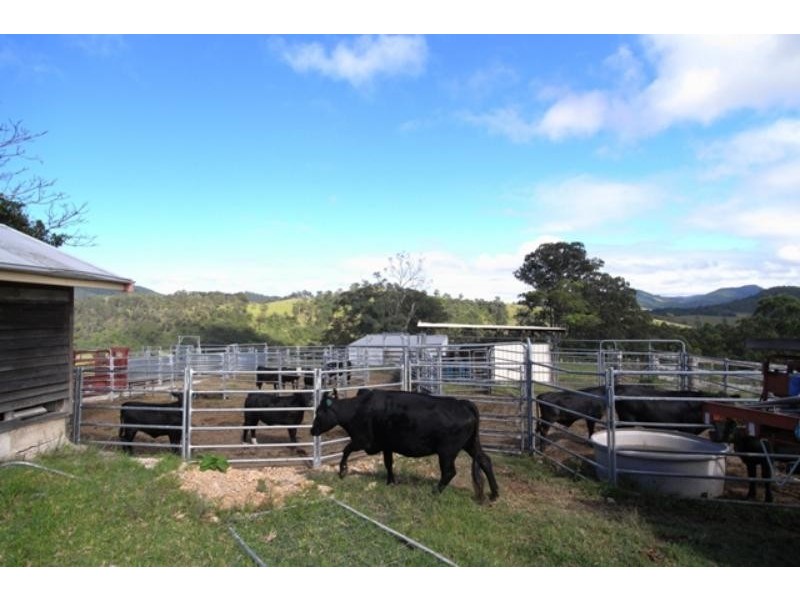 Mount George NSW 2424