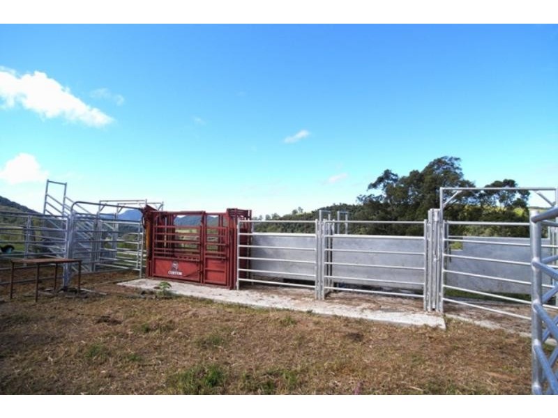 Mount George NSW 2424