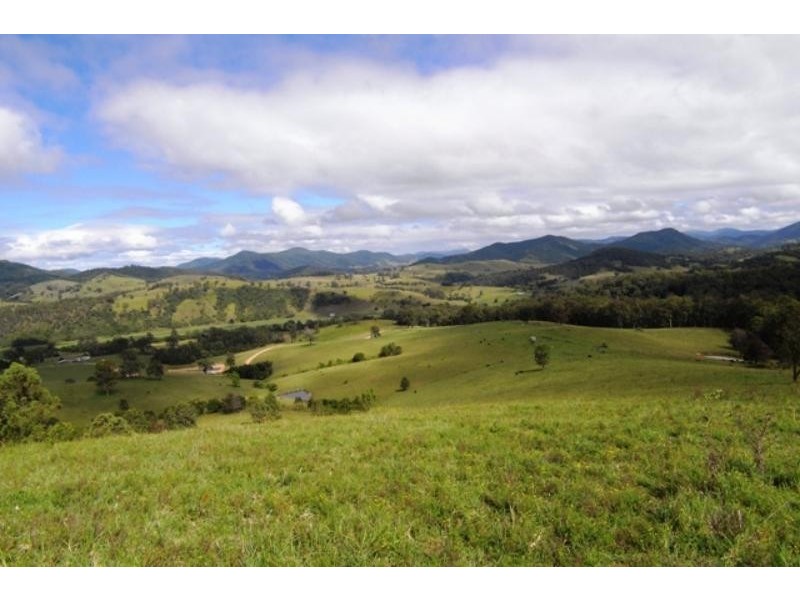 Mount George NSW 2424