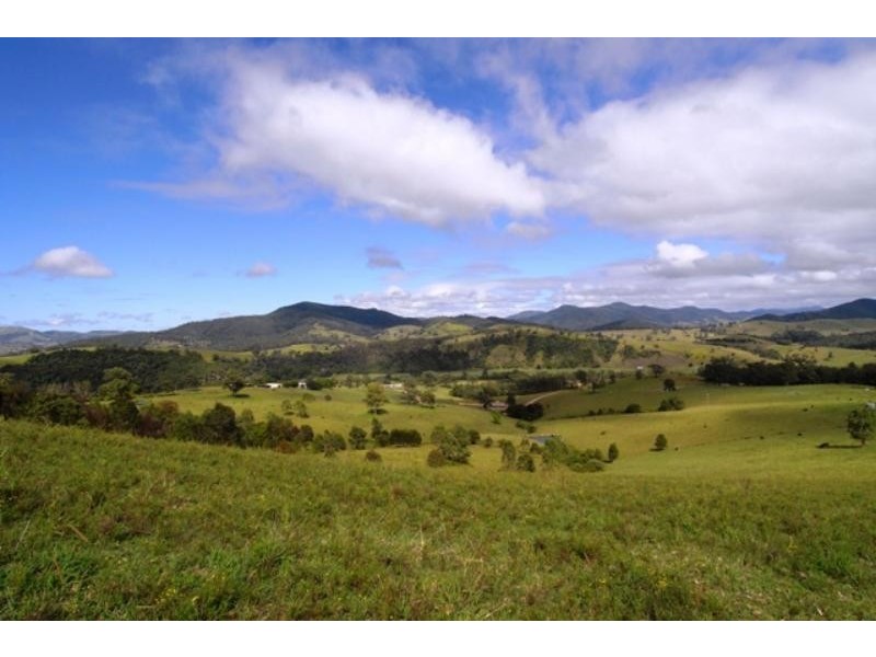 Mount George NSW 2424