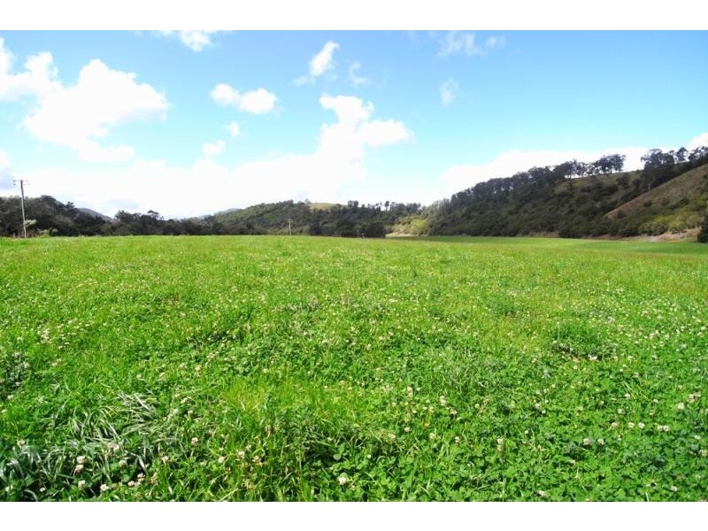 Mount George NSW 2424