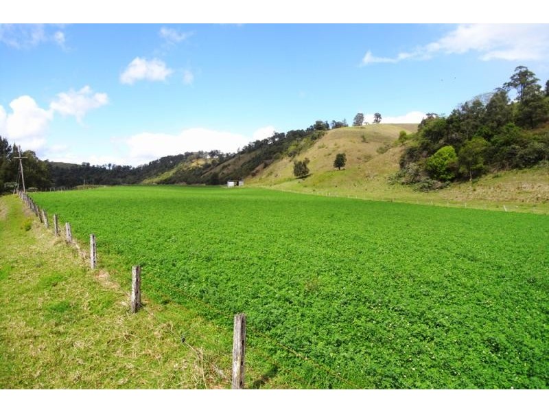 Mount George NSW 2424