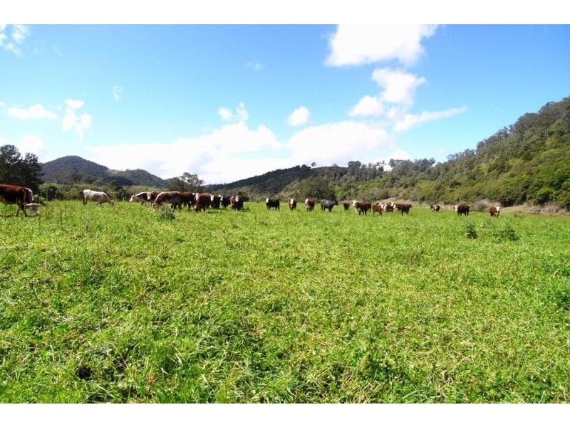 Mount George NSW 2424