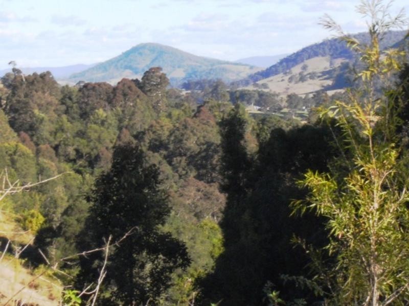 Strathcedar NSW 2429