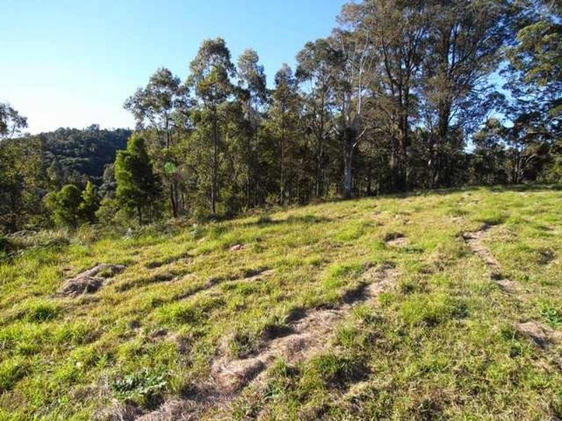 Strathcedar NSW 2429