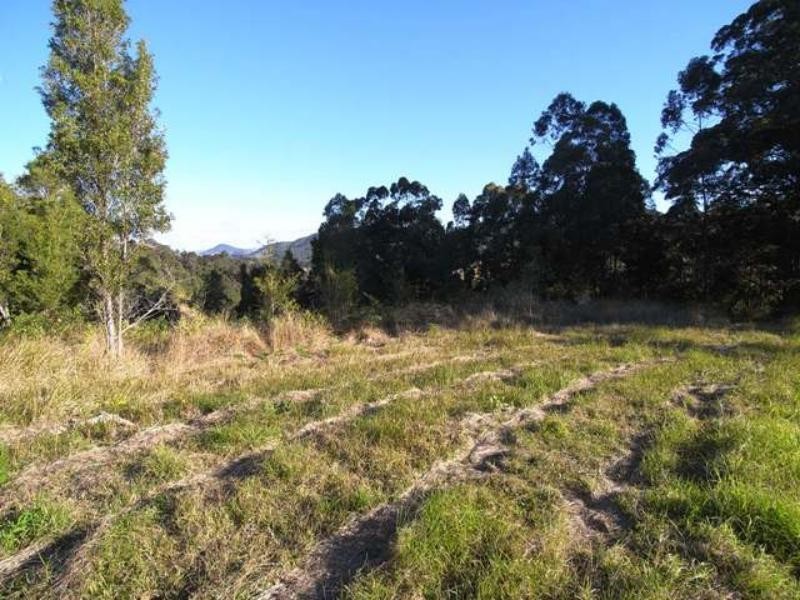 Strathcedar NSW 2429