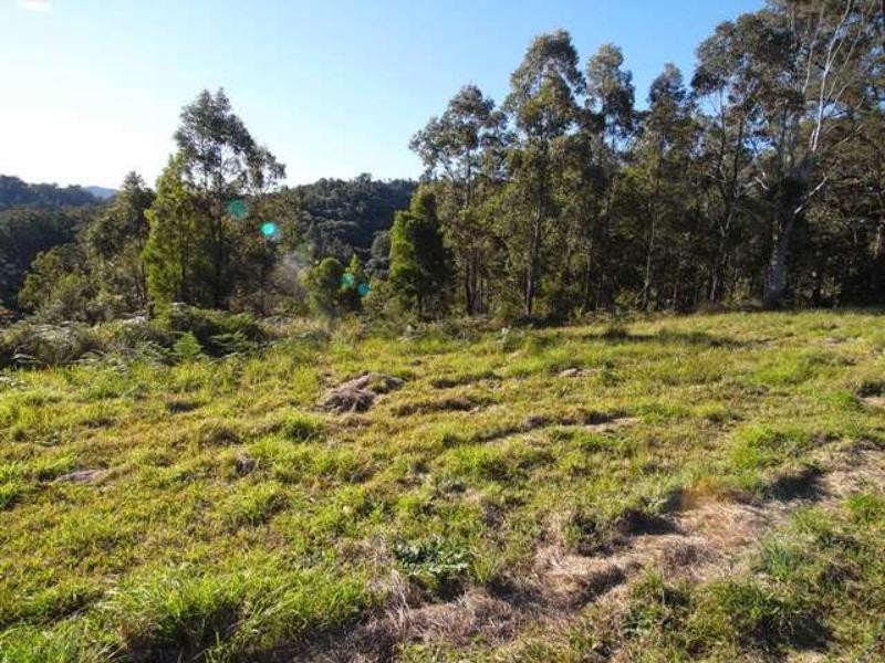 Strathcedar NSW 2429