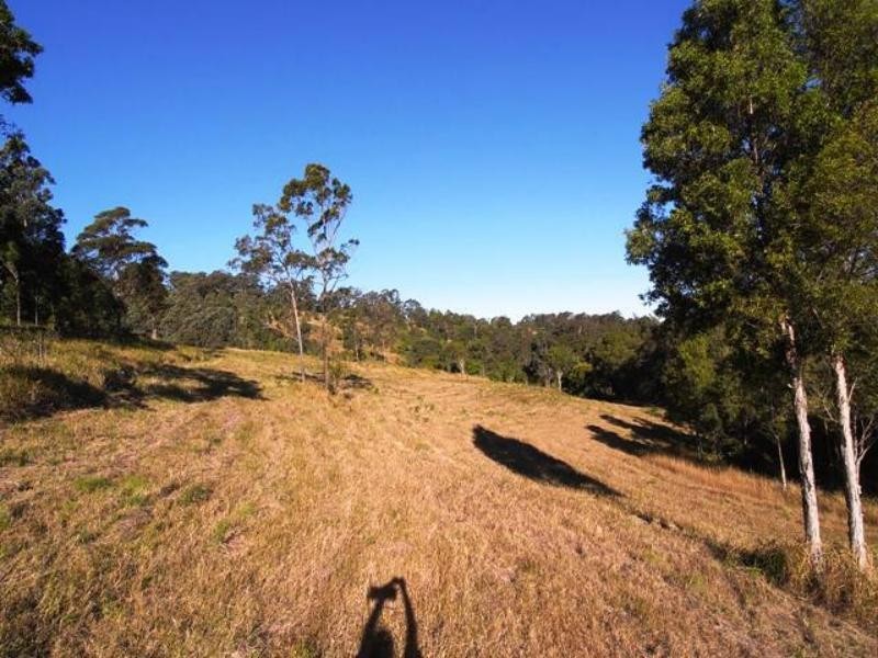 Strathcedar NSW 2429