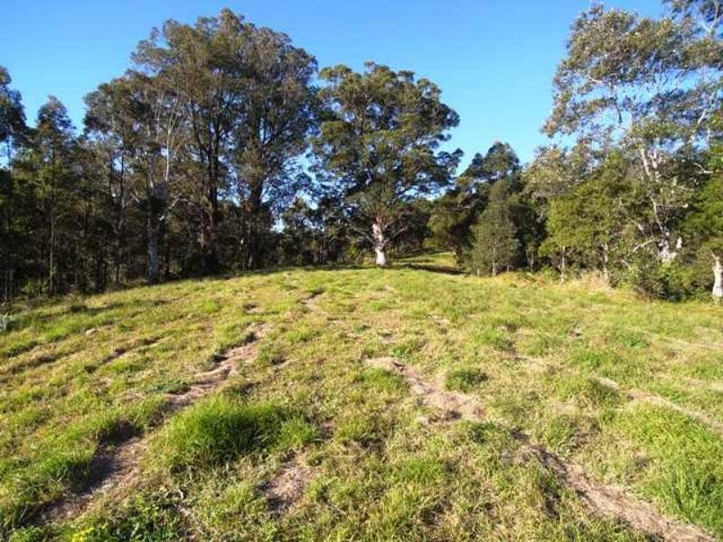 Strathcedar NSW 2429