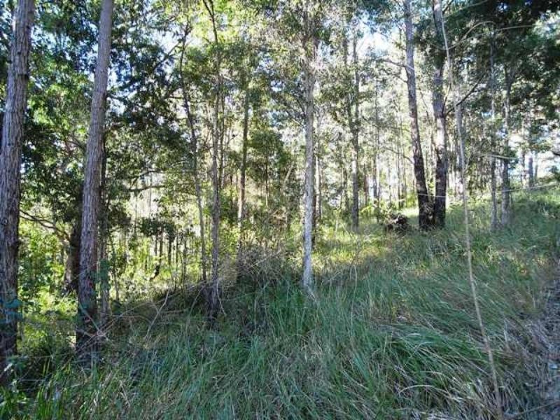 Strathcedar NSW 2429