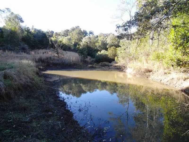 Strathcedar NSW 2429