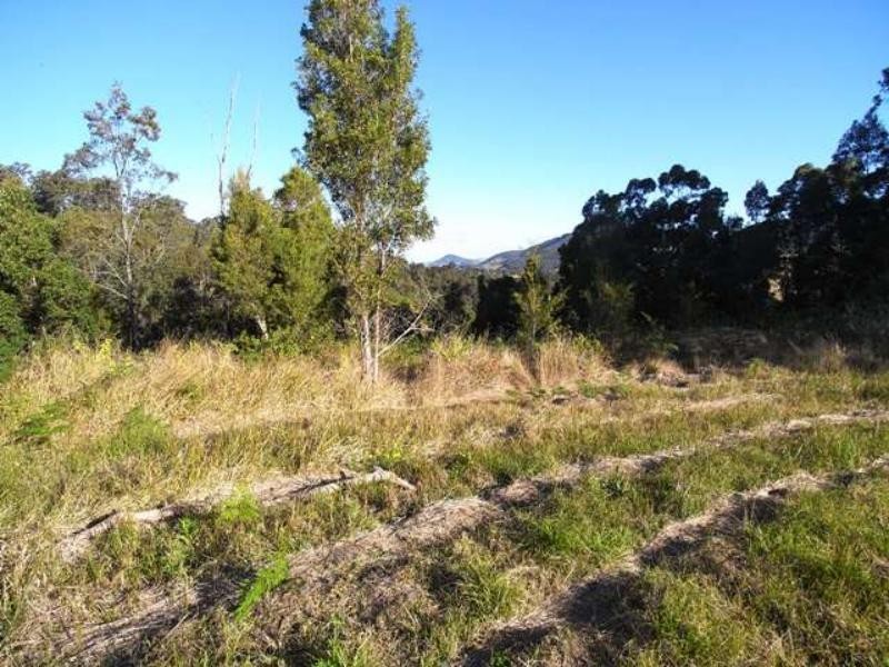 Strathcedar NSW 2429